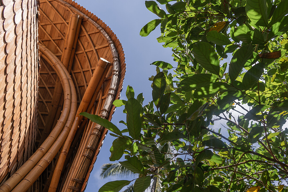 Formation de professeur de yoga de 21 jours et 200 heures à Bali, en Indonésie 12