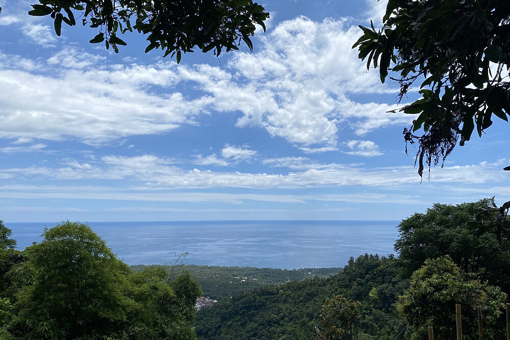 Formation de professeur de yoga de 21 jours et 200 heures à Bali, en Indonésie 8