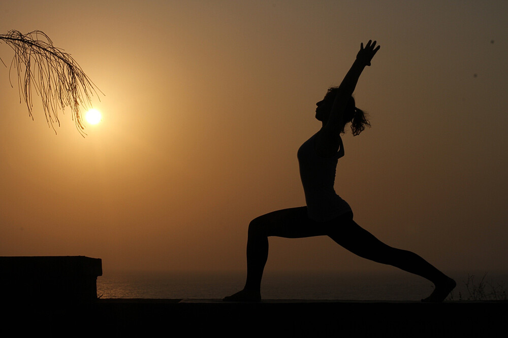 Formazione per insegnanti di yoga di 21 giorni, 200 ore, a Goa, India 8