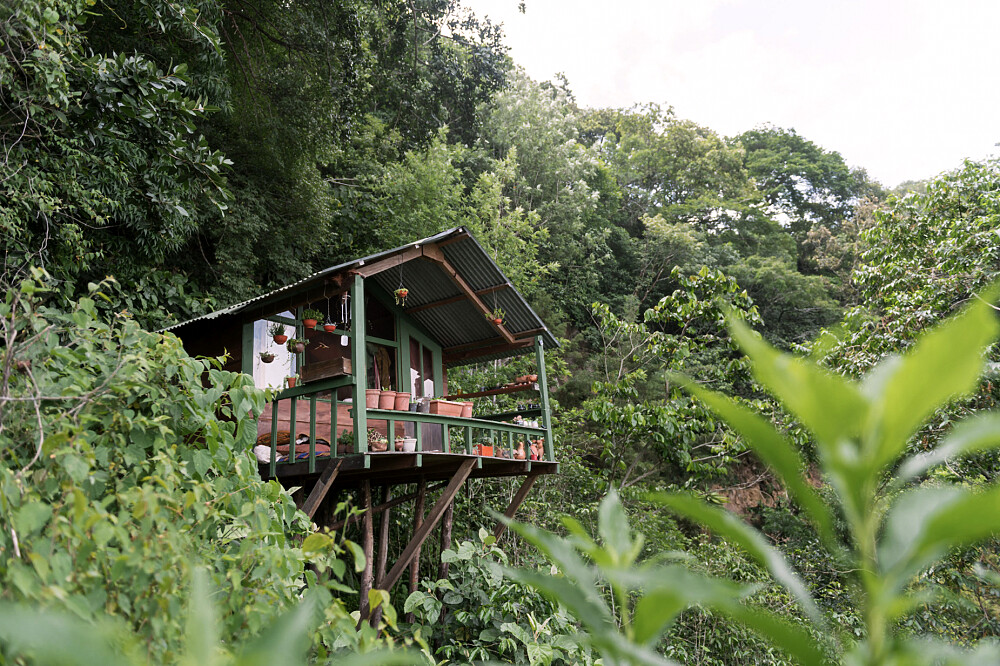 21 Day 200 Hour Yoga Teacher Training in Lake Atitlan, Guatemala