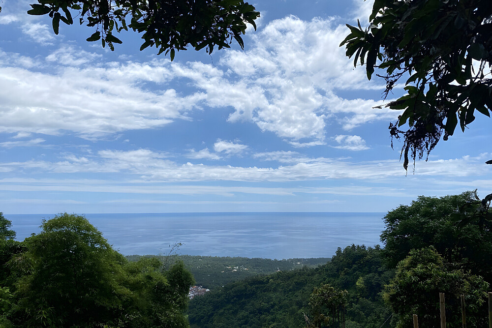 21 Day 200 Hour Yoga Teacher Training, Permuteran Bali, Indonesia 2