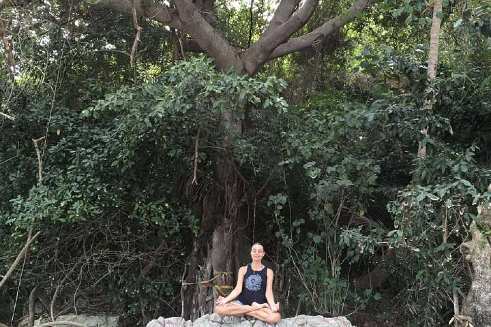 21 Day 200 HR Hatha Yoga Teacher Training, Koh Samui, Thailand 7