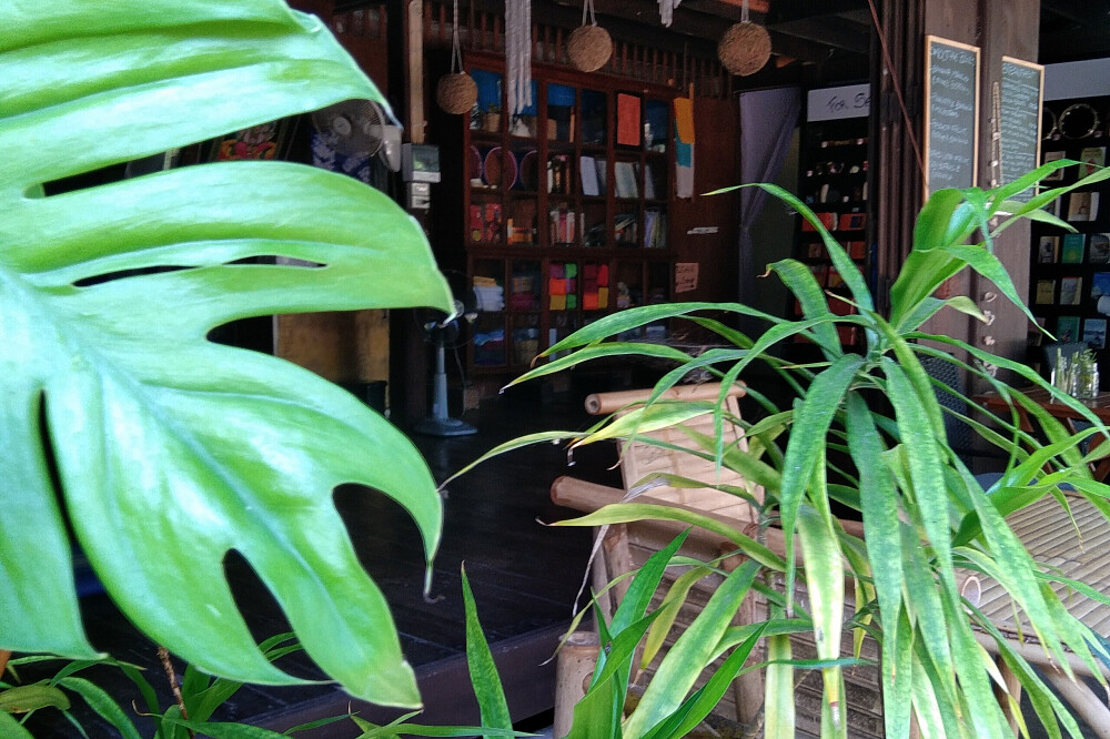 21 Day 200 HR Hatha Yoga Teacher Training, Koh Samui, Thailand 39