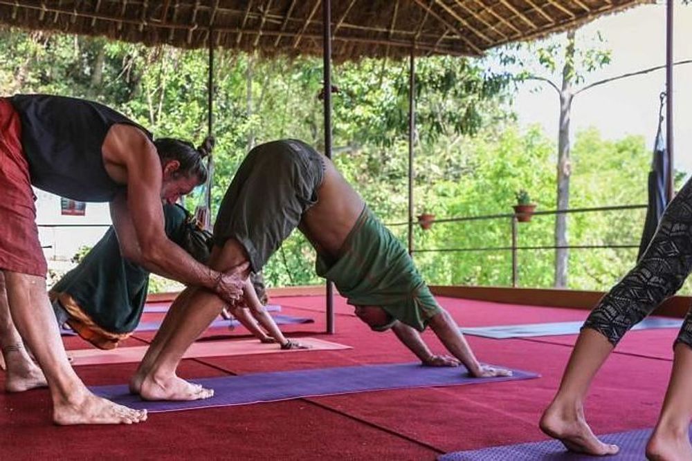 Transformerende traditionele yogacursus van 21 dagen in Pokhara, Nepal 15