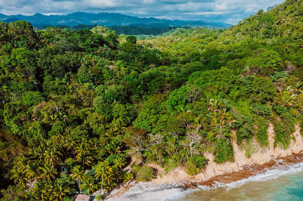 Formation de professeur de yoga hybride de 200 heures, multi-styles, de 11 jours au Costa Rica 52