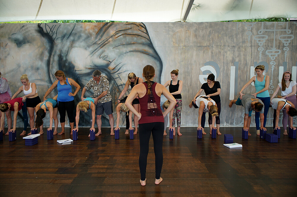 Formation de professeur de yoga hybride de 200 heures, multi-styles, de 11 jours au Costa Rica 49