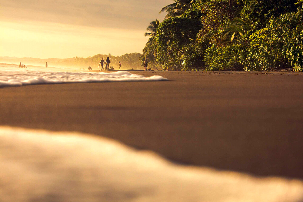 Formation de professeur de yoga hybride de 200 heures, multi-styles, de 11 jours au Costa Rica 37