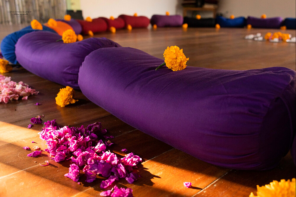 Formação de Professores de Yoga de 22 Dias e 200 Horas, Multi-Estilo, na Costa Rica 19
