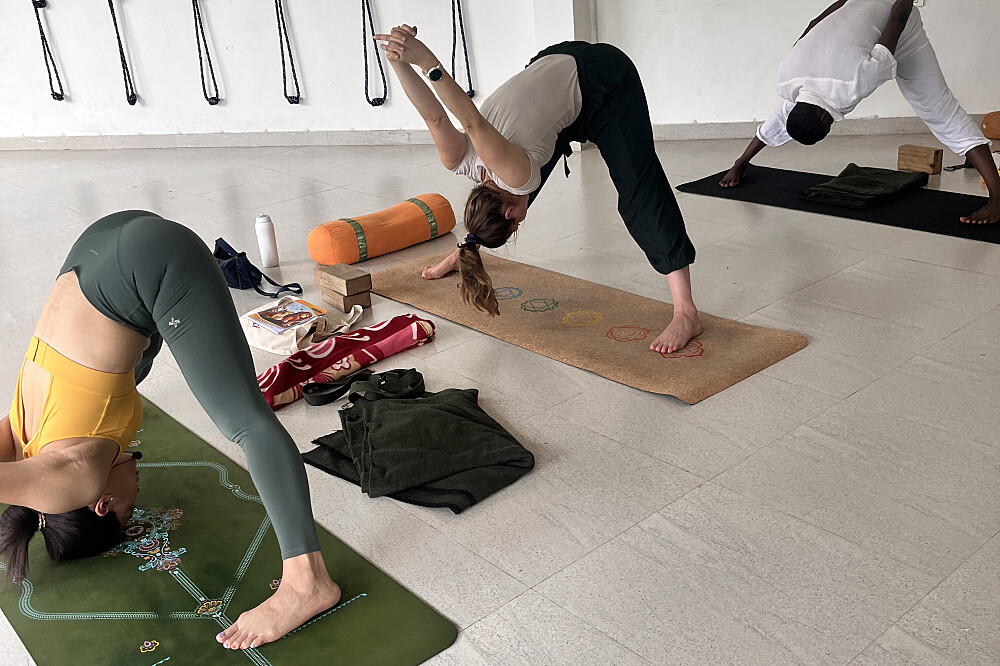Formation de professeur de yoga de 200 heures en 23 jours à Rishikesh, en Inde 13