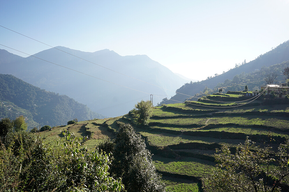 Formation de professeur de yoga de 26 jours (200 heures) et randonnée dans l'Himalaya, Inde 11