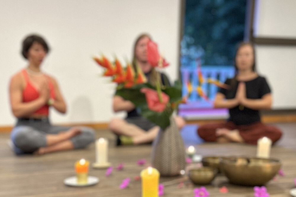 Formation de professeur de yoga Hatha & Vinyasa de 200 heures sur 26 jours à Sasaima, Colombie 6
