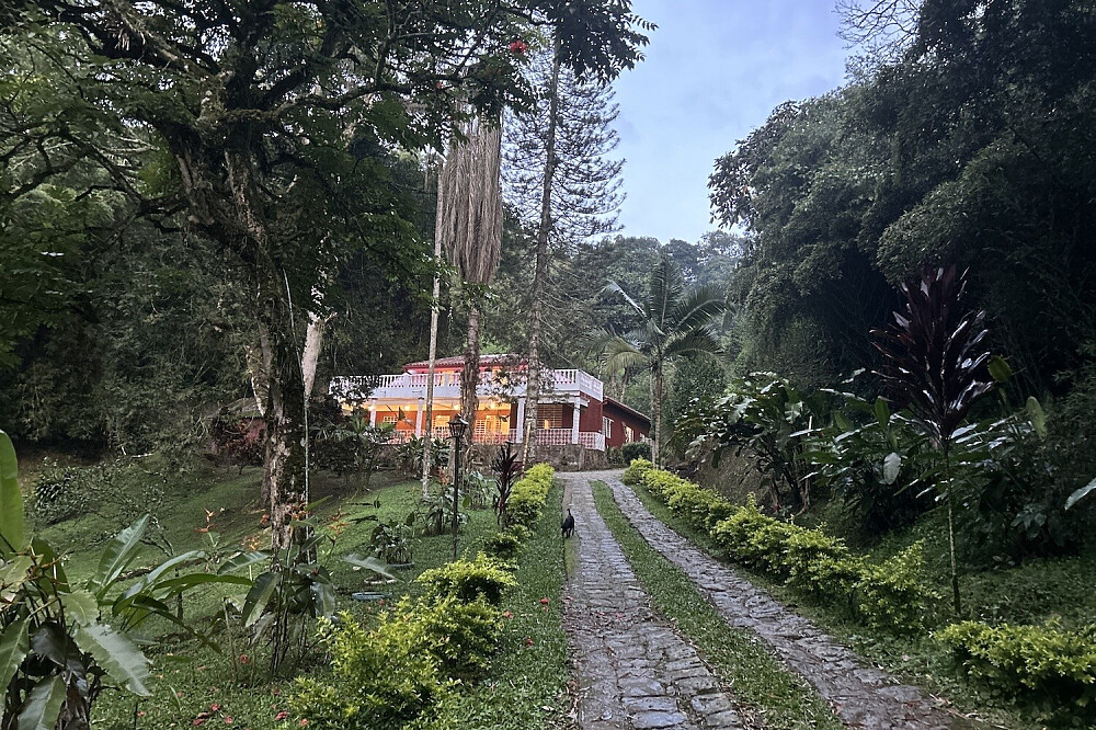Formation de professeur de yoga Hatha & Vinyasa de 200 heures sur 26 jours à Sasaima, Colombie 27