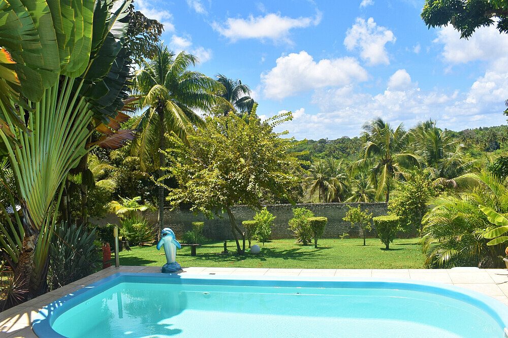 * 28 Day Depression Recovery: Ayahuasca, Reiki, Massages in Brazil