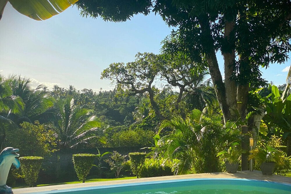 * 28 Day Depression Recovery: Ayahuasca, Reiki, Massages in Brazil 6