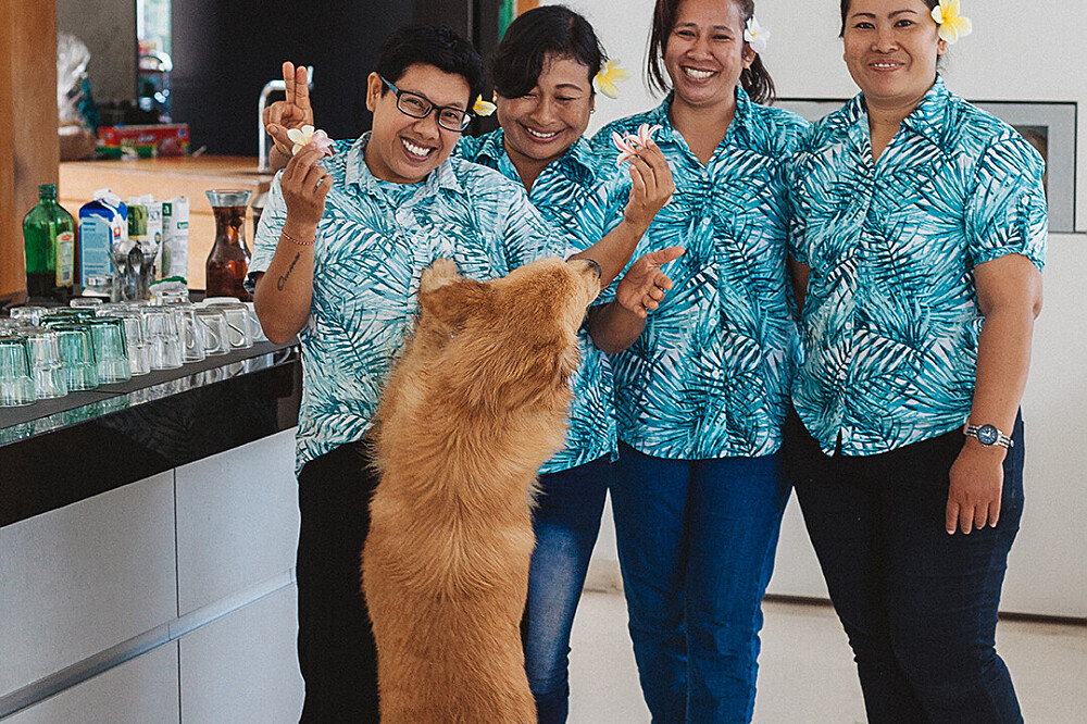 29 Dagen, 200 Uur Alles-Inclusief Functionele en Somatische YTT, Bali 26