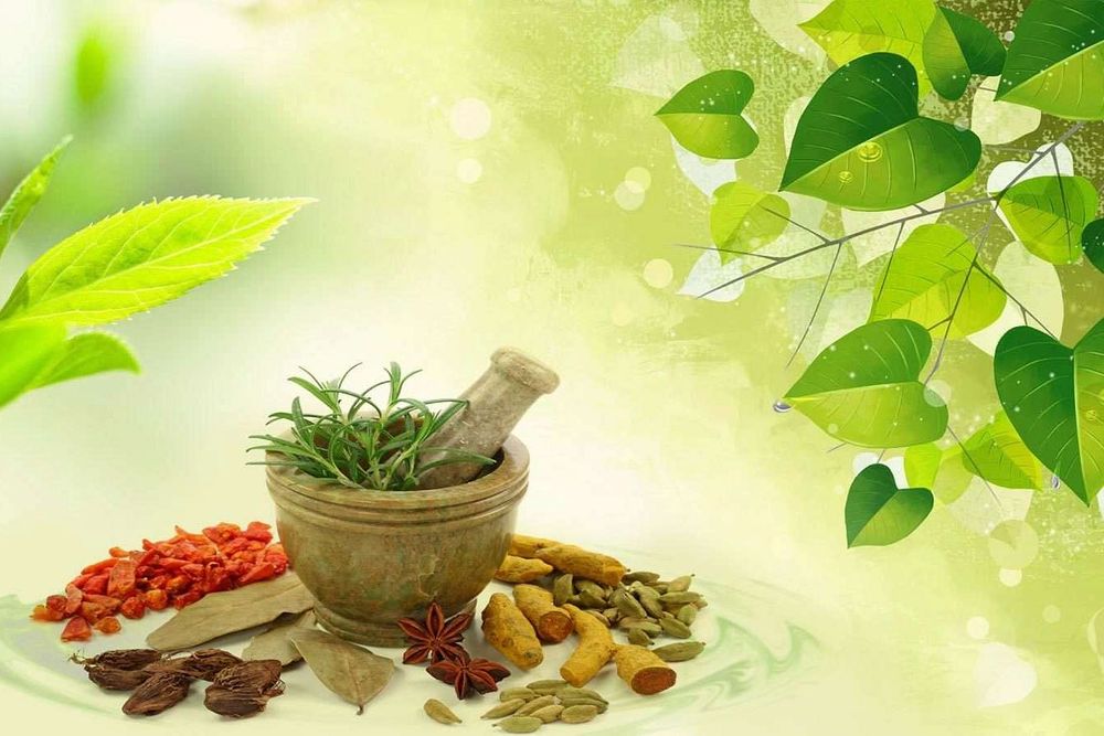 Retiro de Desintoxicação com Ayurveda e Yoga de 29 Dias em Катмандu, Nepal 11
