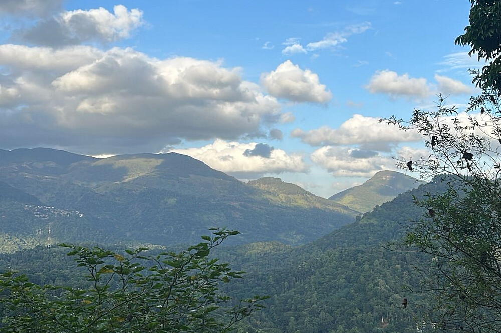 Retraite active de yoga et de nature culturelle de 3 jours à Kandy, Sri Lanka 23