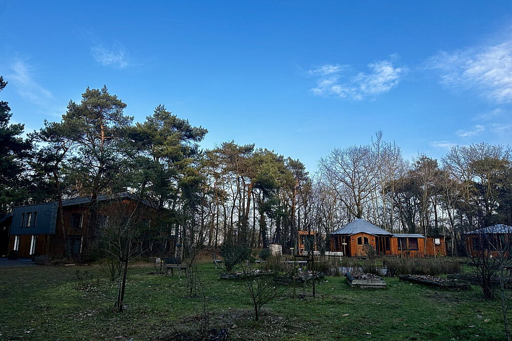 3 Day Ayahuasca Ceremony Weekend in The Netherlands 3