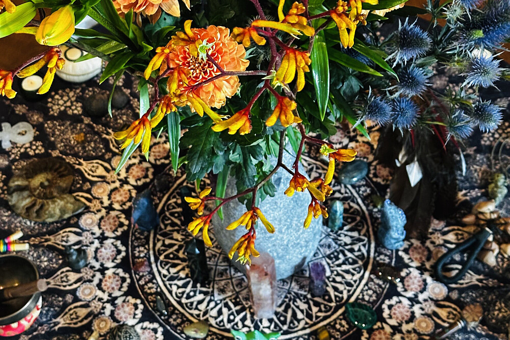 3 Day Ayahuasca Ceremony Weekend in The Netherlands 2