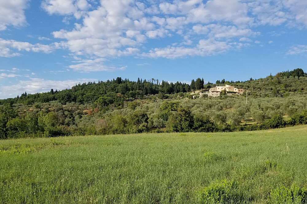 Desintoxicação Digital de 3 Dias Descalço e Renovação Interior na Toscânia, Itália 21