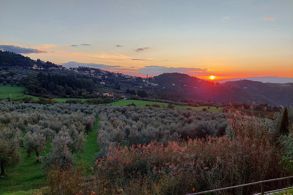 Desintoxicação Digital de 3 Dias Descalço e Renovação Interior na Toscânia, Itália 23