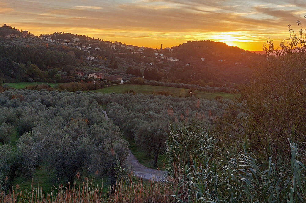Desintoxicação Digital de 3 Dias Descalço e Renovação Interior na Toscânia, Itália 12