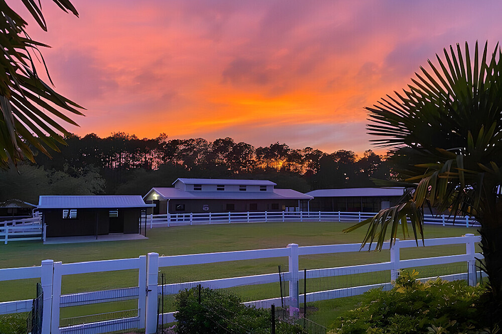 3 Day Burnout Recovery Retreat with Rescued Animals in Florida 3