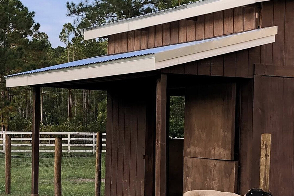 Retraite de récupération après le burn-out de 3 jours avec des animaux sauvés en Floride 15