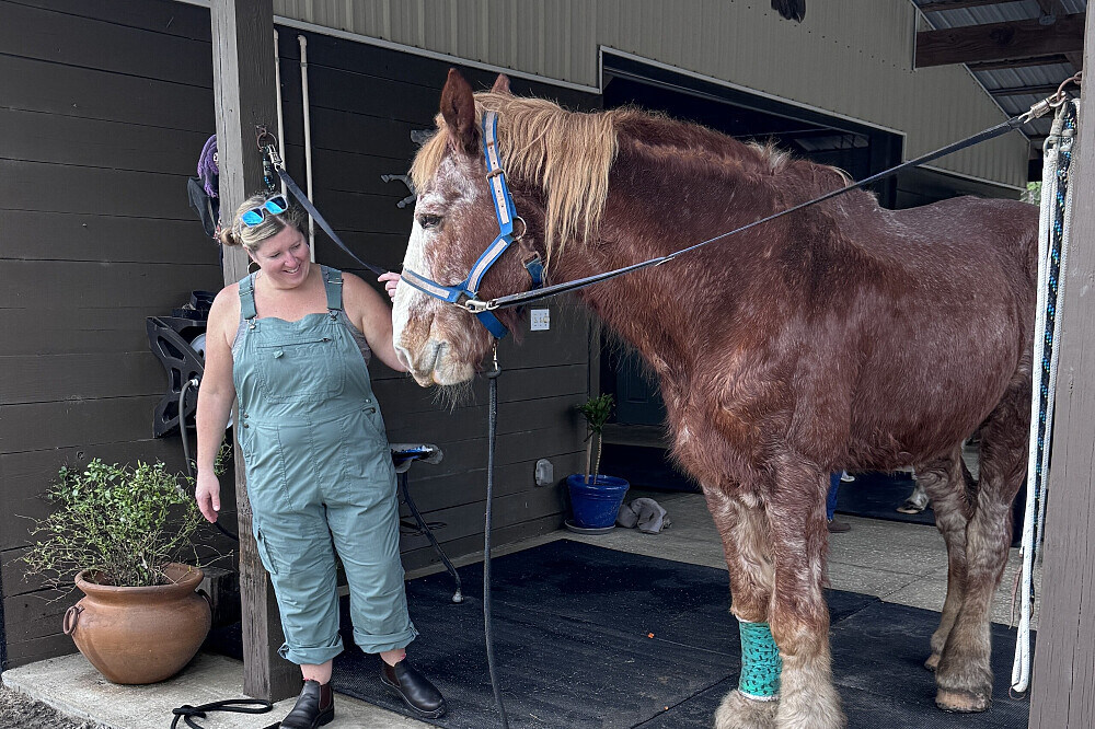 3 Day Grief and Loss Healing Retreat with Animals in Florida, US 9