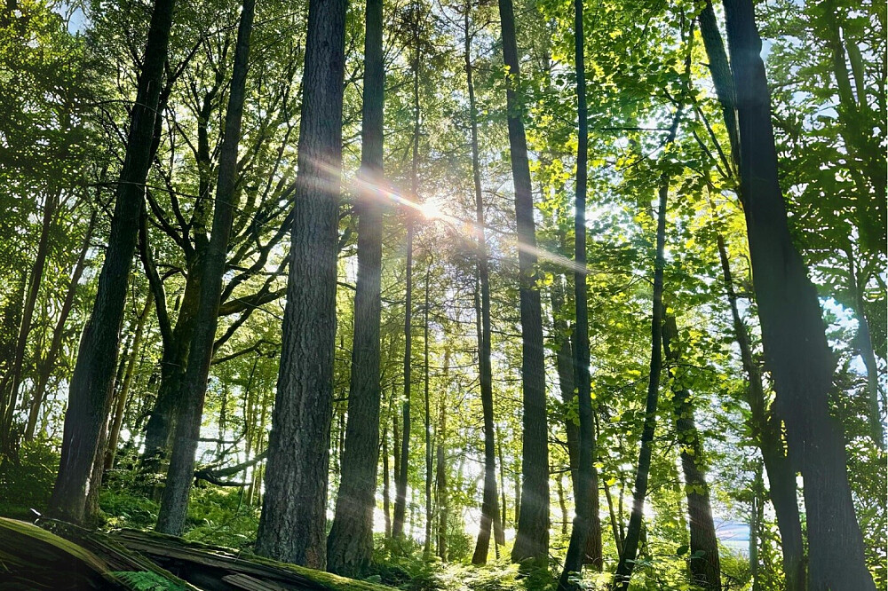 Retraite « Heal Your Life » de 3 jours à Ladyburn House, en Écosse 26