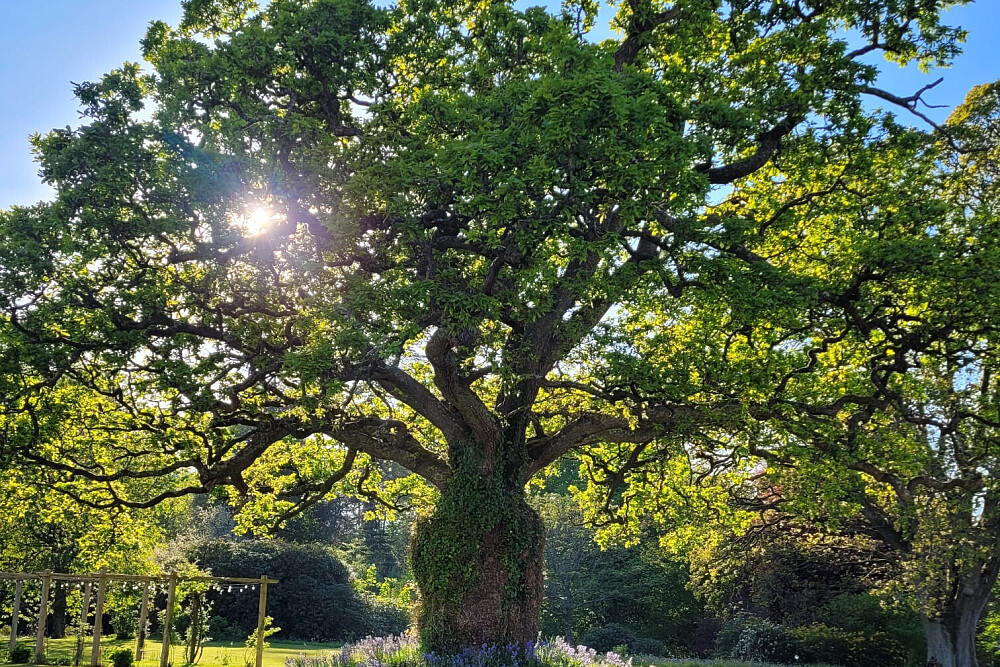 Retraite « Heal Your Life » de 3 jours à Ladyburn House, en Écosse 77