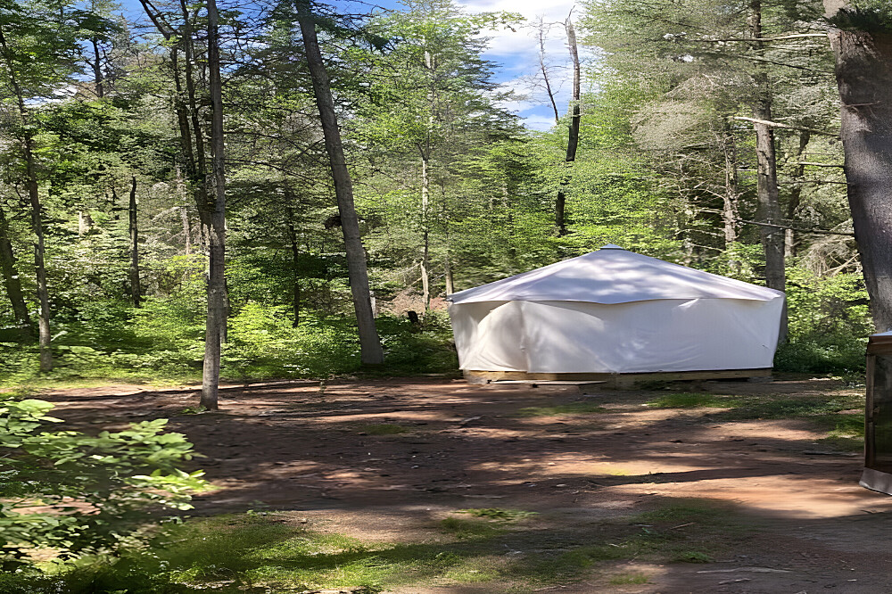 3-daagse HELD-Vrouwen Boomhut Yogaretreat, MN, VS 14
