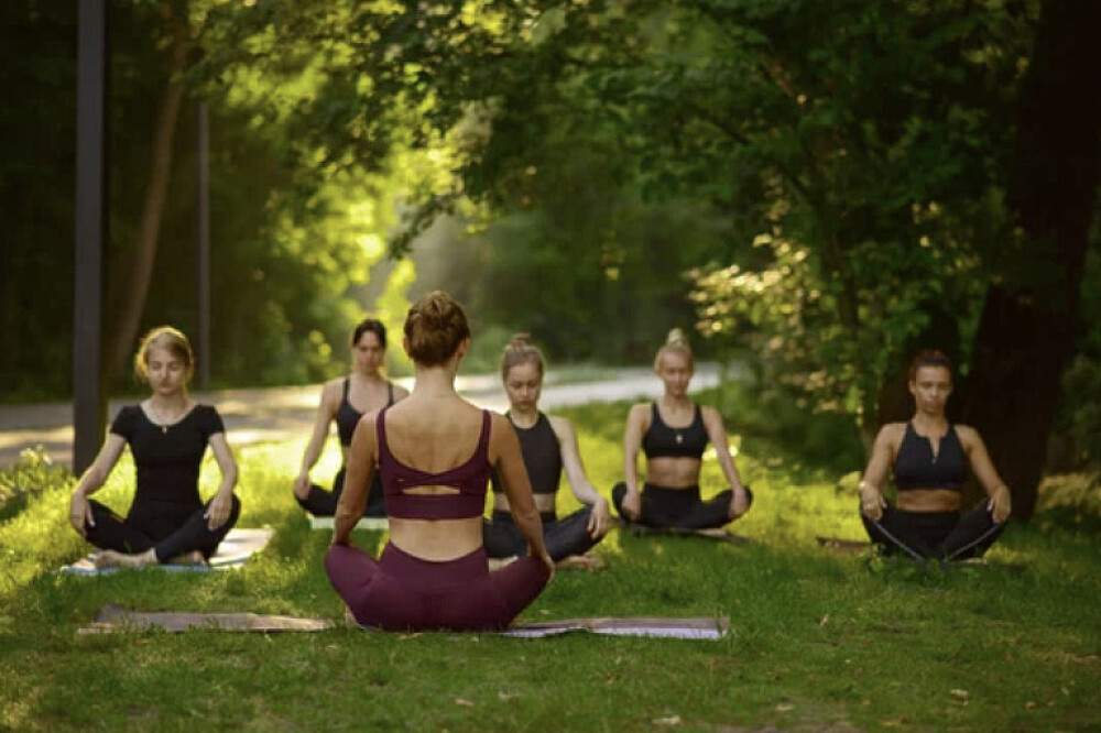 3 Day Intuitive & Free: Equine Embodied Writing Retreat, NH, US 4