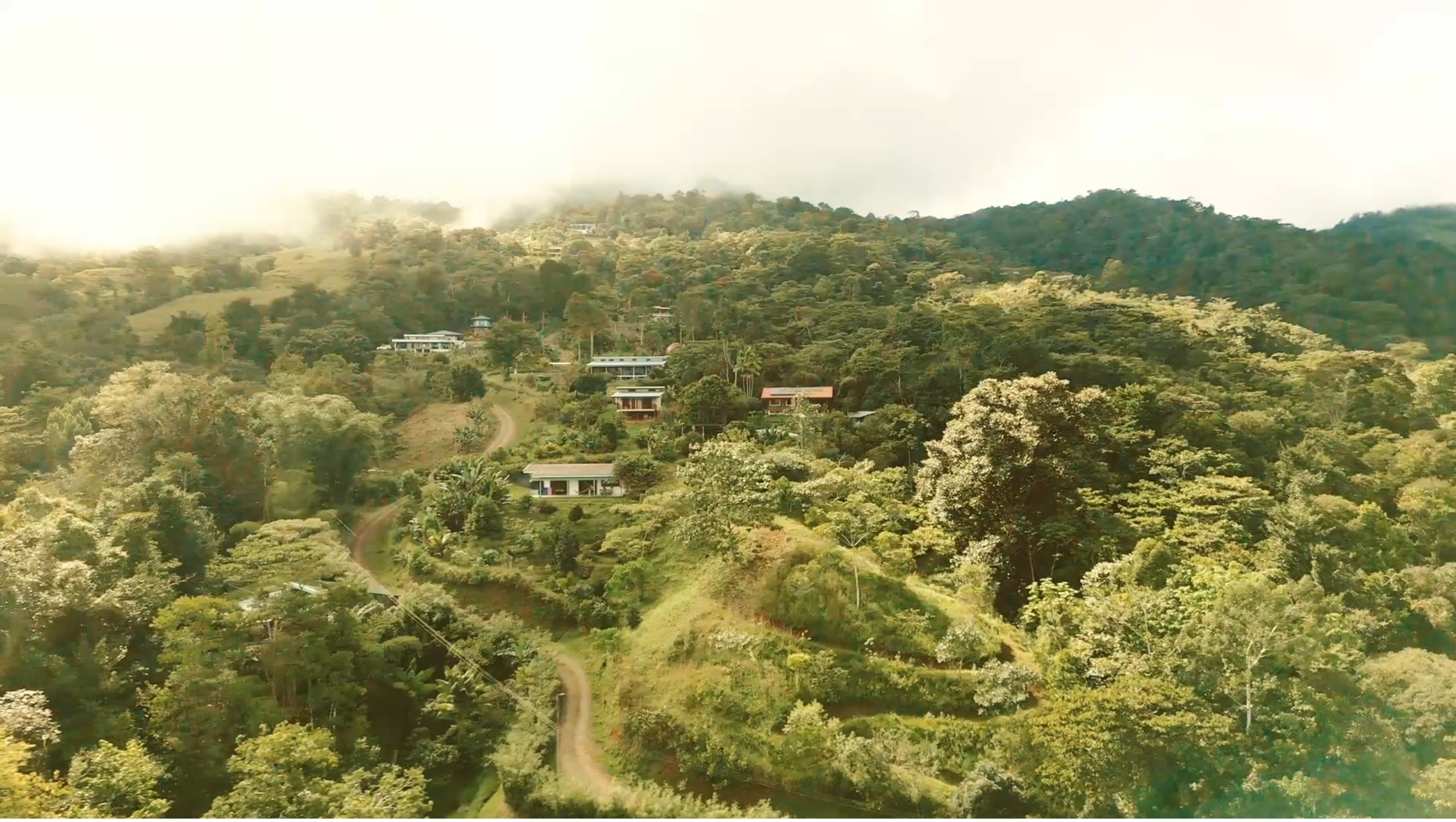 Retiro privado de 5 días con psilocibina: Volver a casa, Costa Rica 26