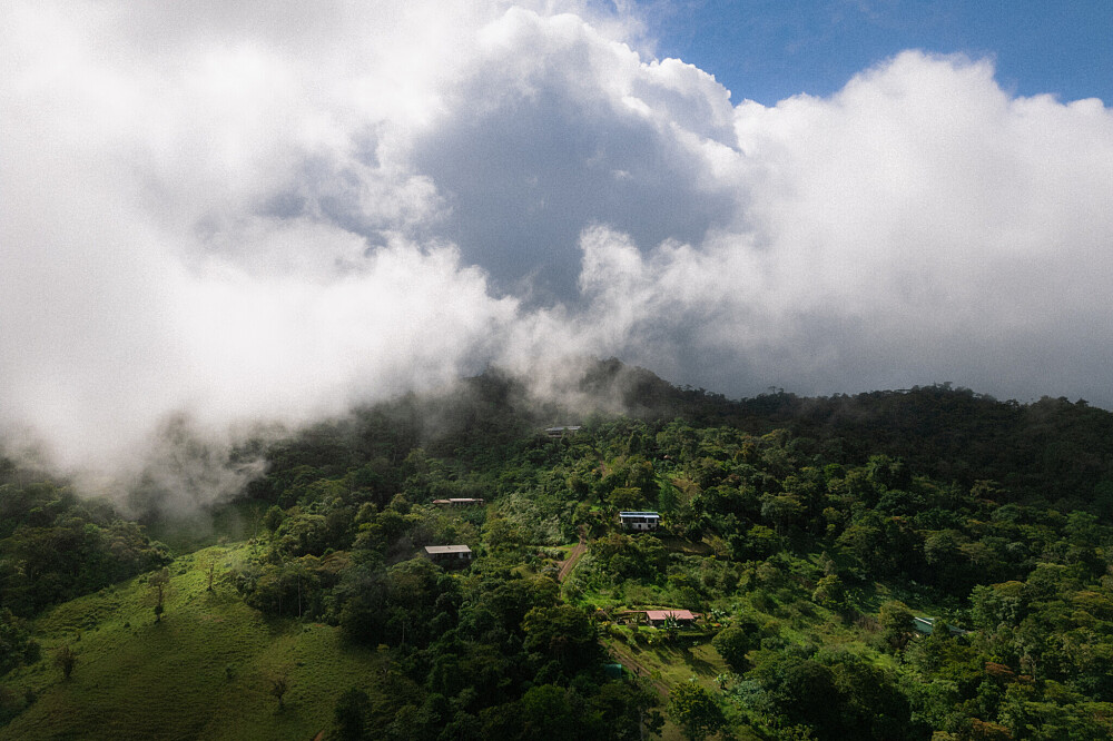 Retiro privado de 3 dias com psilocibina – Regressar a Casa, Costa Rica 15