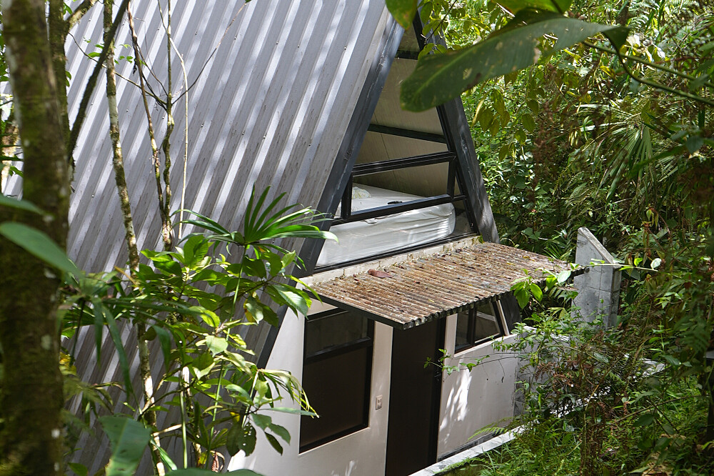 Retiro privado de 3 dias com psilocibina – Regressar a Casa, Costa Rica 11