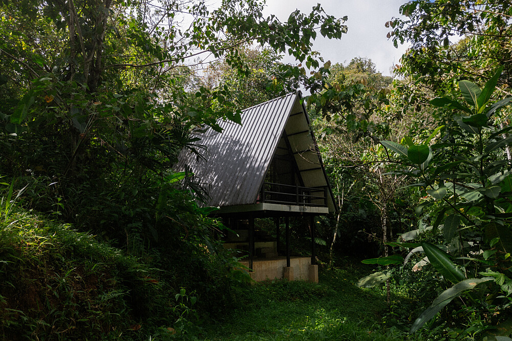 Retiro privado de 3 dias com psilocibina – Regressar a Casa, Costa Rica 12