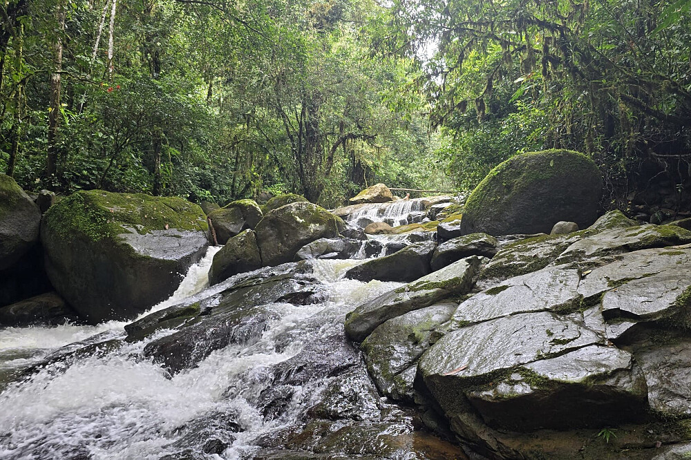 Retiro privado de 3 dias com psilocibina – Regressar a Casa, Costa Rica 18