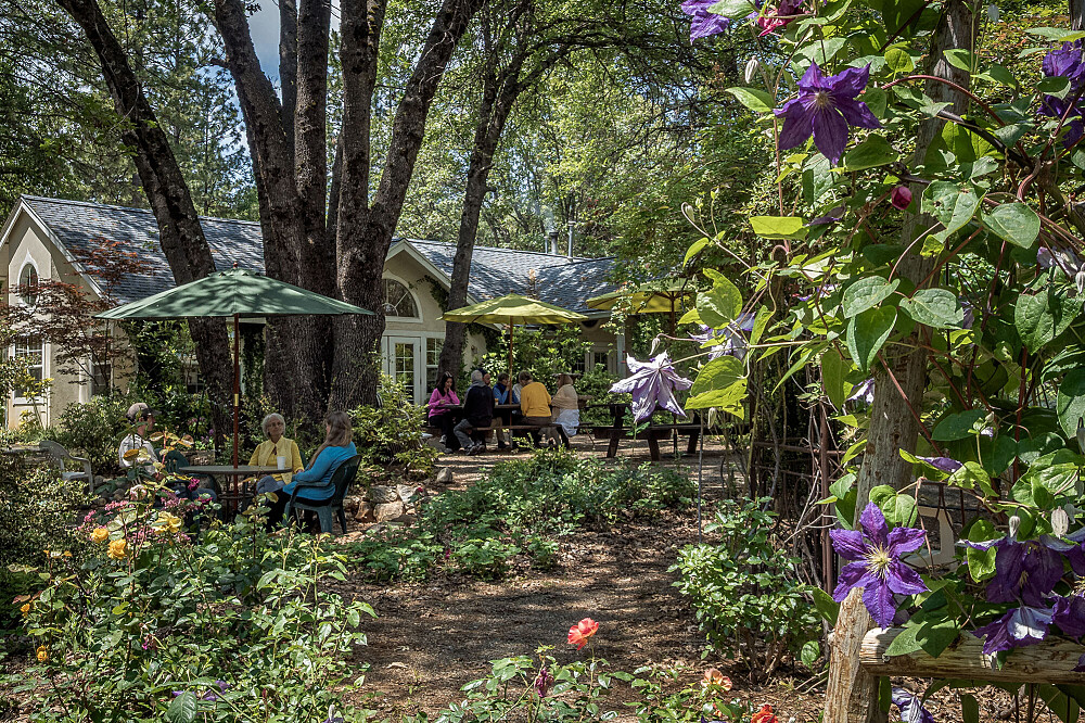 3 Day Secluded Personal Retreat in NorCal, USA