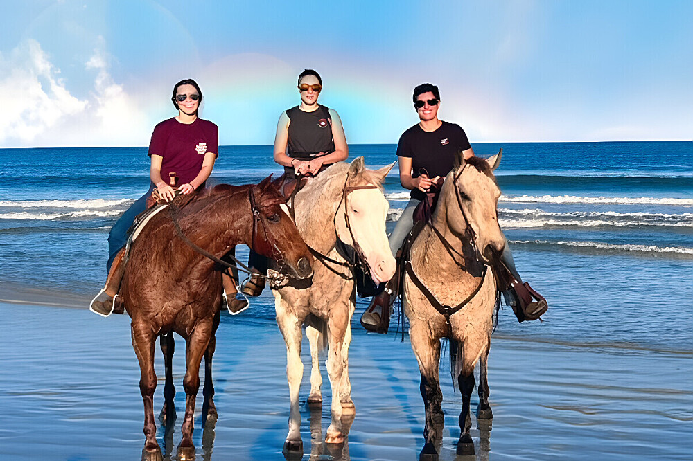 3 Day Soul Reconnection Through Horses Retreat Florida, US 2