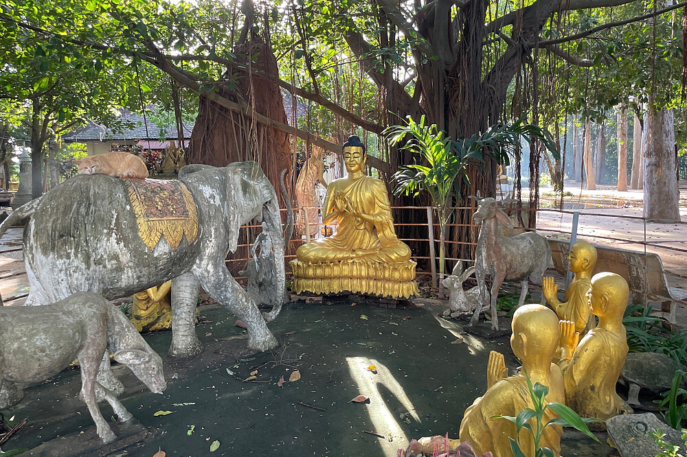 Retiro Espiritual de Ioga e Meditação de 3 Dias no Camboja 43