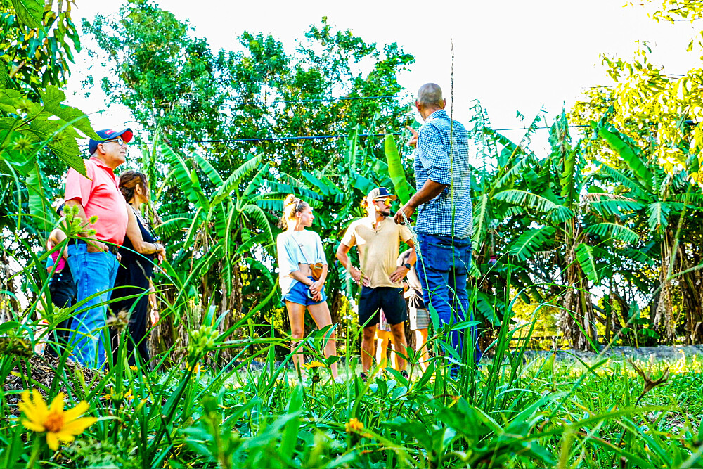3 Tage Ultimate Weekend: The Soul Bootcamp Retreat in FL, USA 10