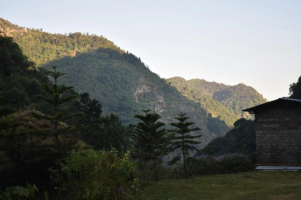 3 Day Unconditional: Human Canine Retreat Near Mussoorie, India
