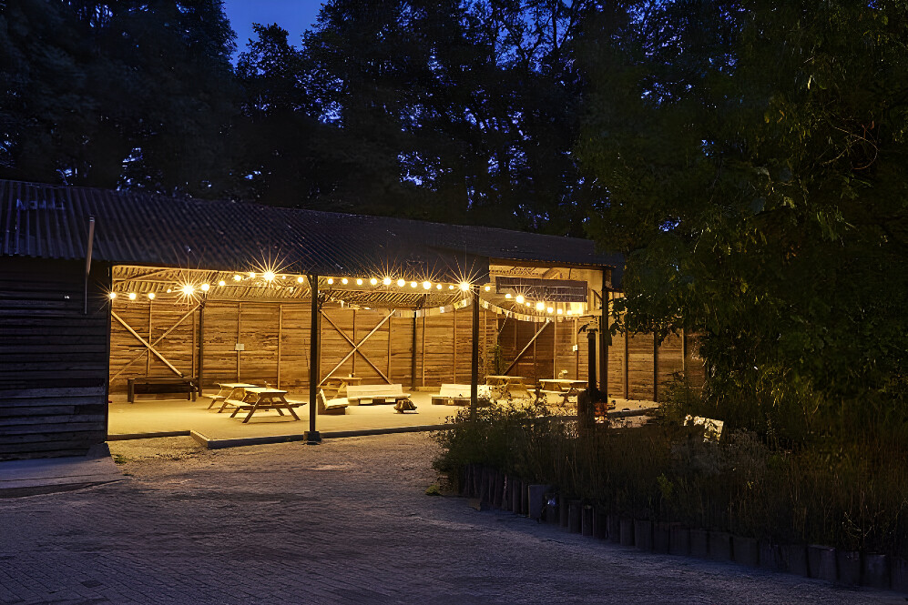3 Day Weekend Psilocybin Retreat in Zelhem Netherlands 3