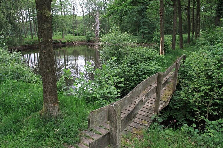 3 Day Weekend Psilocybin Retreat in Zelhem Netherlands