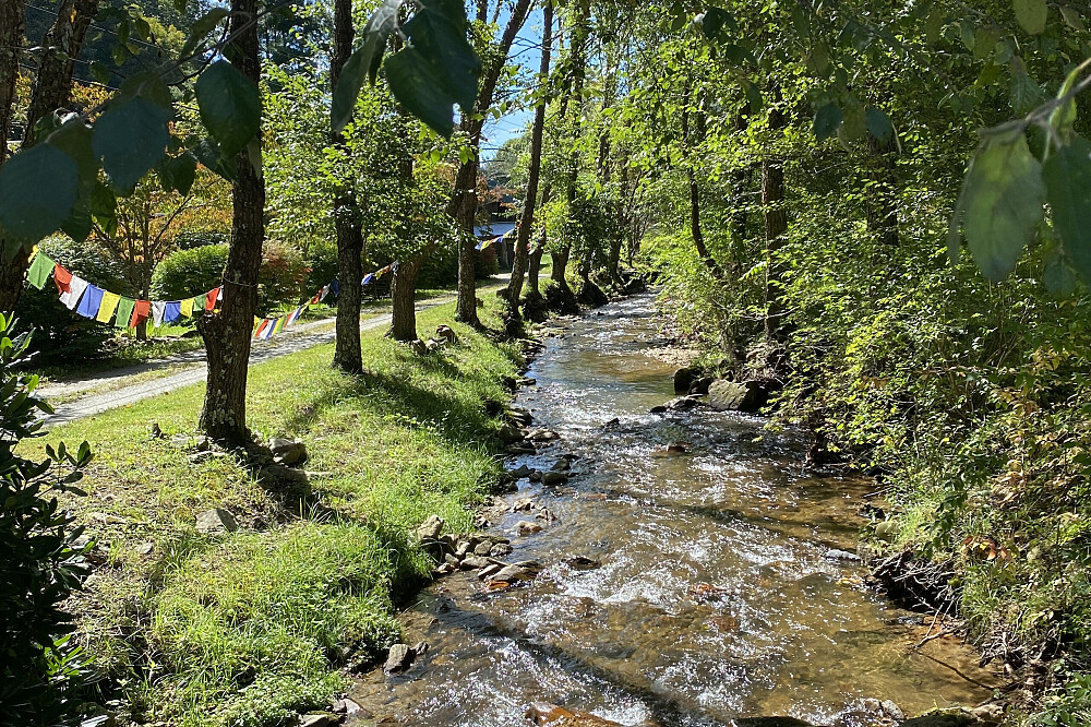 Retiro de descanso com cura pelo som para mulheres, 3 dias, perto de Asheville, NC 17