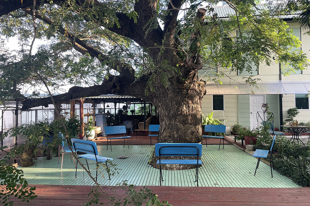 Retiro de mindfulness de 30 días en Camboya 15