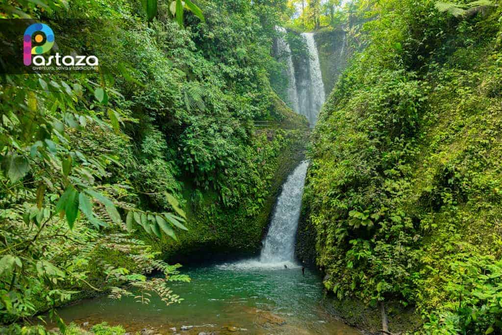 30-tägige Shipibo Master Plant Dieta in Ecuador