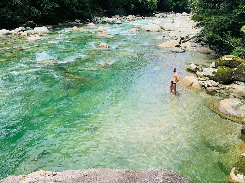 30-Day Shipibo Master Plant Dieta in Ecuador