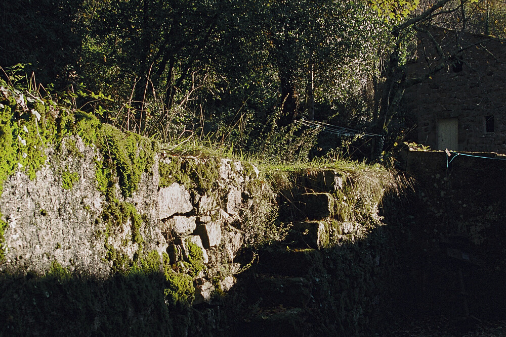 4 Day A Return to Your Essence Retreat in France
